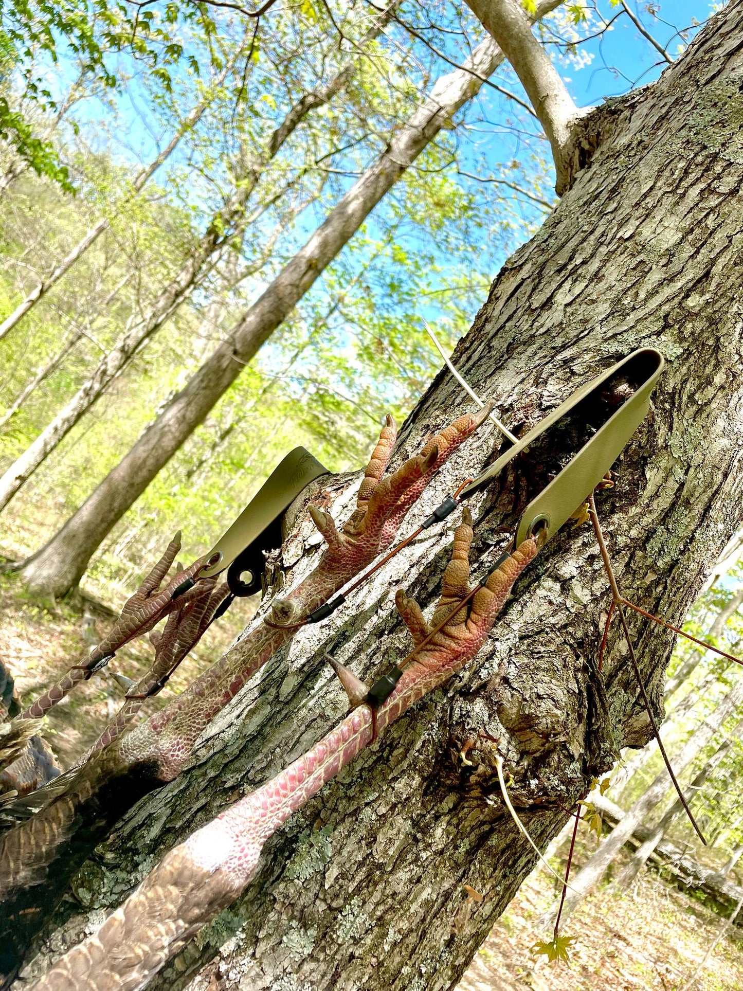 Elite Series Turkey Tote