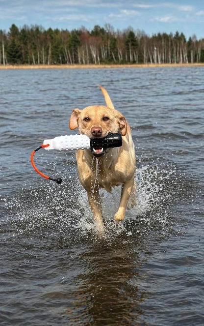 Dog Bumpers